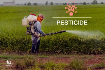 Pesticides, biopesticides, effets, consommation, alternatives…